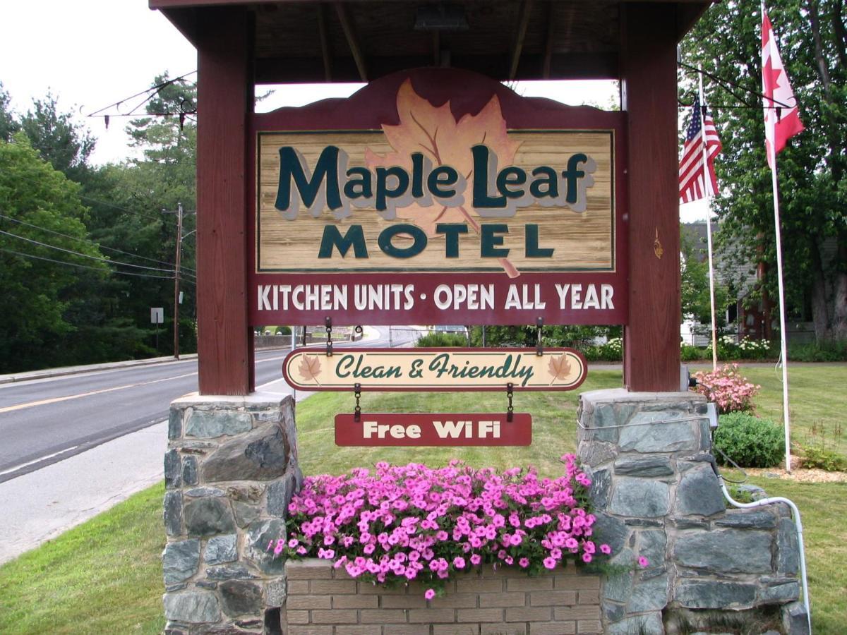 ליטלטון Maple Leaf Motel מראה חיצוני תמונה